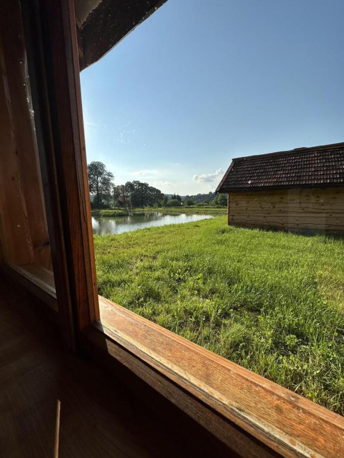 Wedkarskie Nad Stawami Pirania