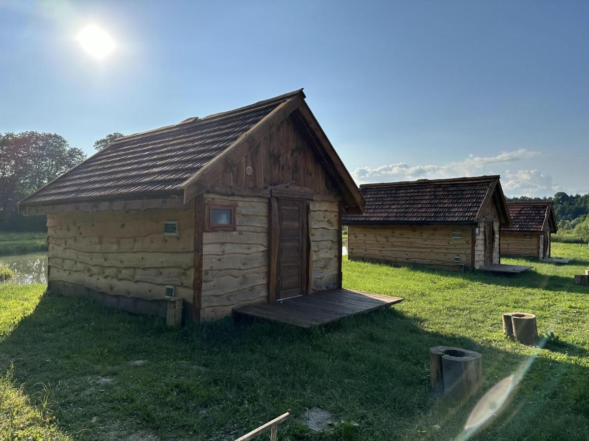 Wedkarskie Nad Stawami Pirania